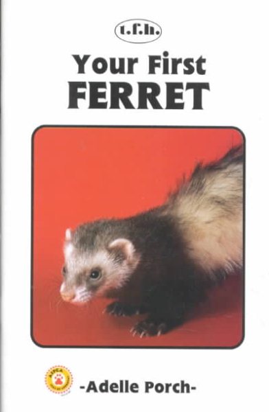 Your First Ferret (Your First Series) cover
