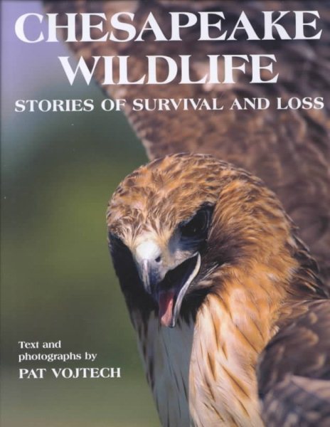 Chesapeake Wildlife: Stories of Survival and Loss cover