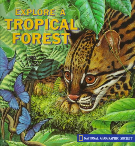 Explore a Tropical Forest, Pop-up Book cover
