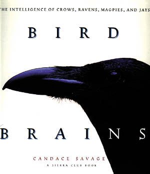 Bird Brains: The Intelligence of Crows, Ravens, Magpies, and Jays cover