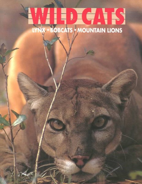 Wild Cats: Lynx Bobcats Mountain Lions cover