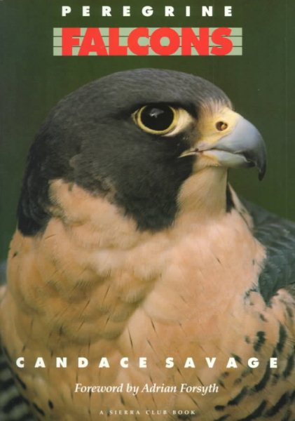 Peregrine Falcons cover