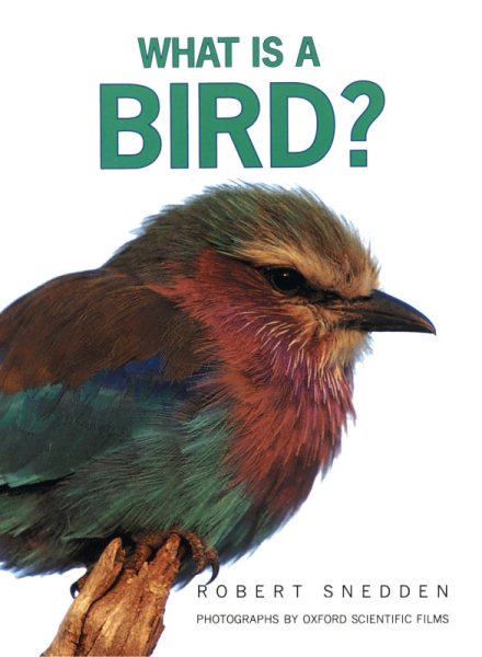 What is a Bird? cover