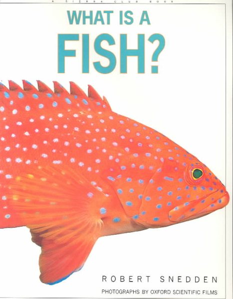 What is a Fish? cover