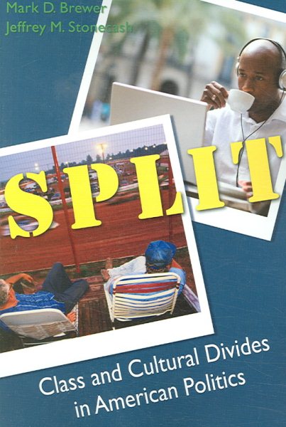 Split: Class and Cultural Divides in American Politics cover