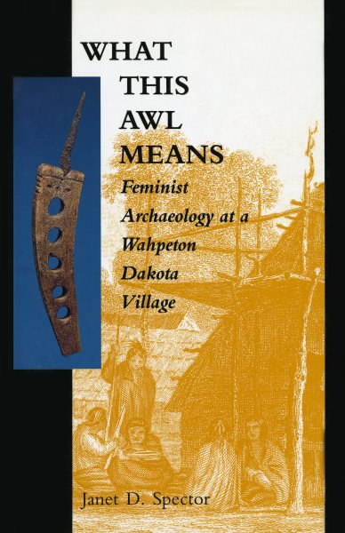 What This Awl Means: Feminist Archaeology at a Wahpeton Dakota Village cover
