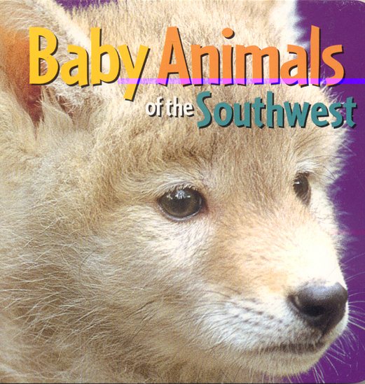 Baby Animals of the Southwest cover