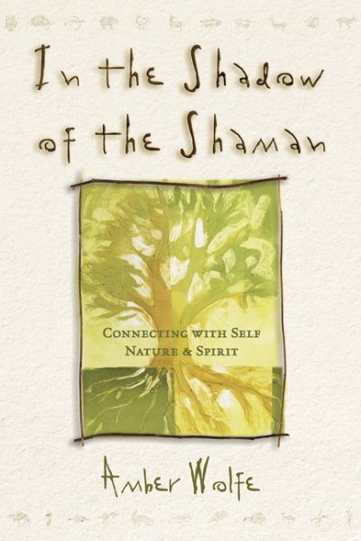 In the Shadow of the Shaman: Connecting with Self, Nature & Spirit (Llewellyn's New Worlds Spirituality Series) cover