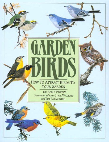 Garden Birds: How To Attract Birds To Your Garden