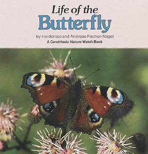 Life of the Butterfly (Carolrhoda Nature Watch Book) (English and German Edition) cover