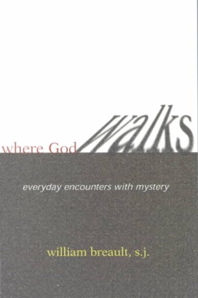 Where God Walks: Everyday Encounters With Mystery cover