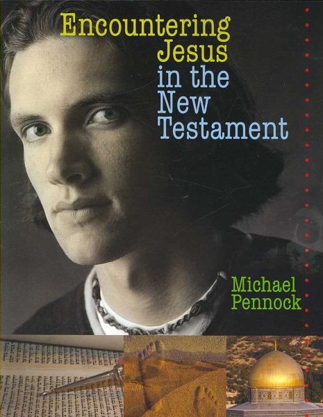Encountering Jesus in the New Testament cover