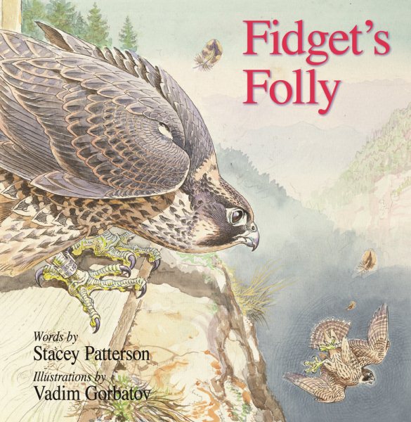 Fidget's Folly cover