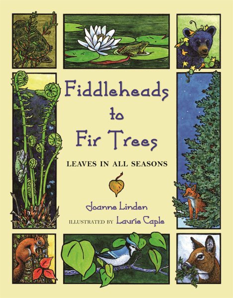 Fiddleheads to Fir Trees: Leaves in All Seasons cover