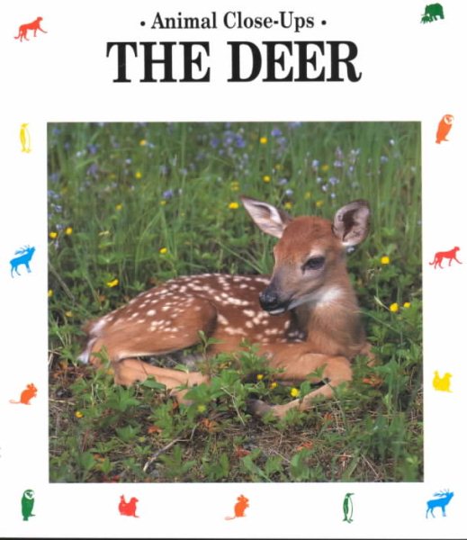 The Deer: Forest Friend (Animal Close-Ups) cover