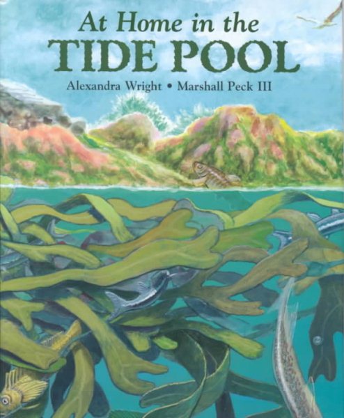 At Home in the Tide Pool cover