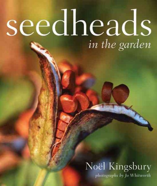 Seedheads in the Garden cover