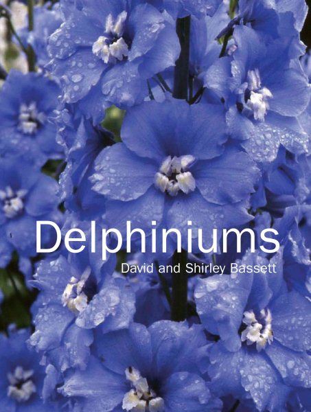 Delphiniums cover