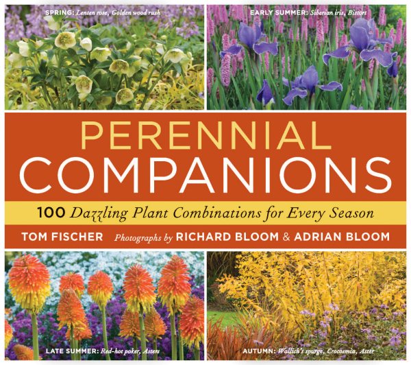 Perennial Companions: 100 Dazzling Plant Combinations for Every Season cover