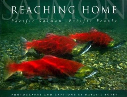 Reaching Home: Pacific Salmon, Pacific People cover
