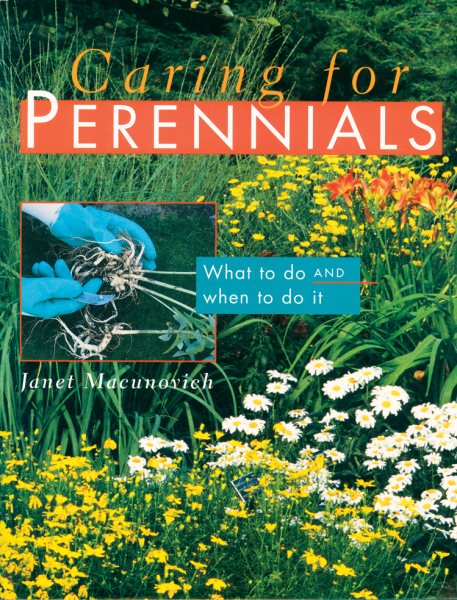 Caring for Perennials: What to Do and When to Do it cover