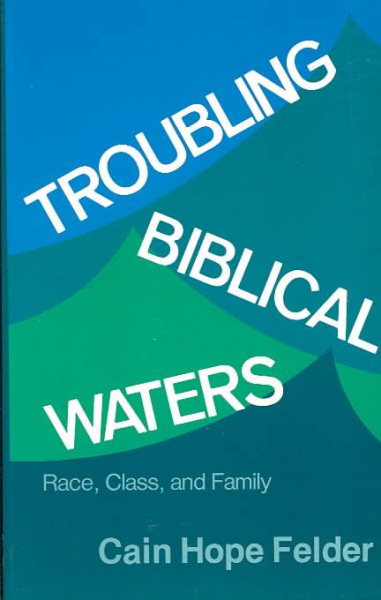 Troubling Biblical Waters: Race, Class, and Family (Bishop Henry McNeal Turner Studies in North American Black R) cover