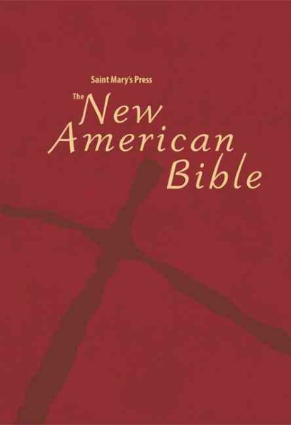 The New American Bible: Basic Youth Edition cover