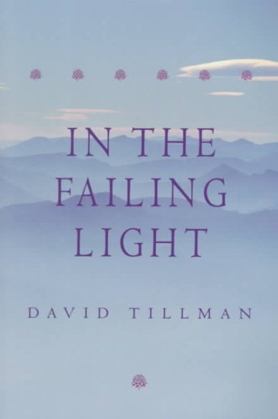 In the Failing Light: A Memoir cover