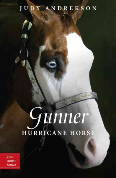 Gunner: Hurricane Horse (True Horse Stories) cover