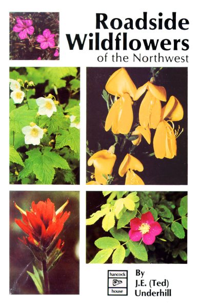Roadside Wildflowers of the Northwest: Roadside Flowers of the Northwest cover