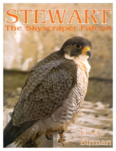 Stewart the Skyscraper Falcon cover