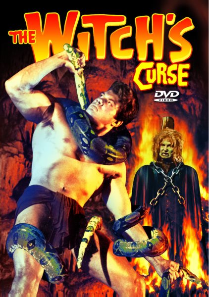 The Witch's Curse cover