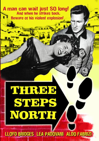 Three Steps North cover