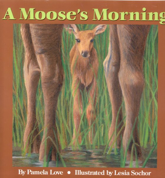 A Moose's Morning cover
