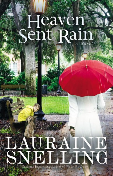 Heaven Sent Rain: A Novel cover