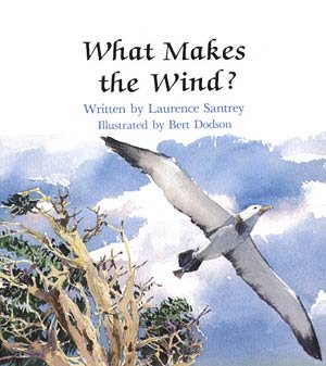 What Makes the Wind