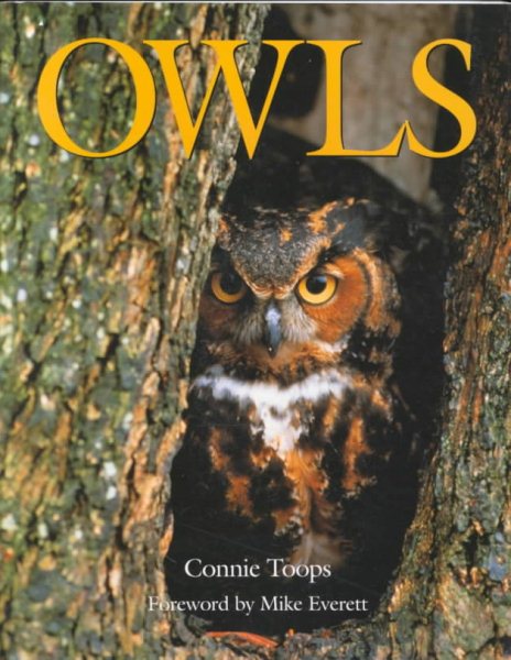 Owls (Voyageur Wilderness Books) cover