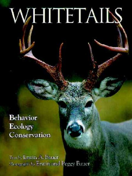 Whitetails cover