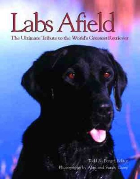 Labs Afield cover