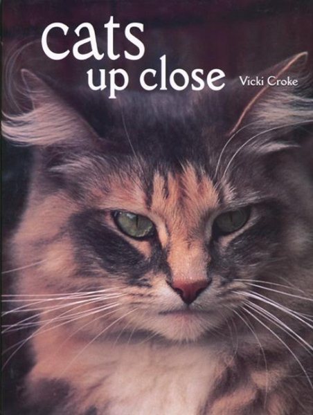 Cats Up Close cover
