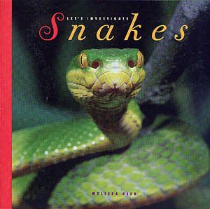 Snakes (Creative Paperbacks) cover