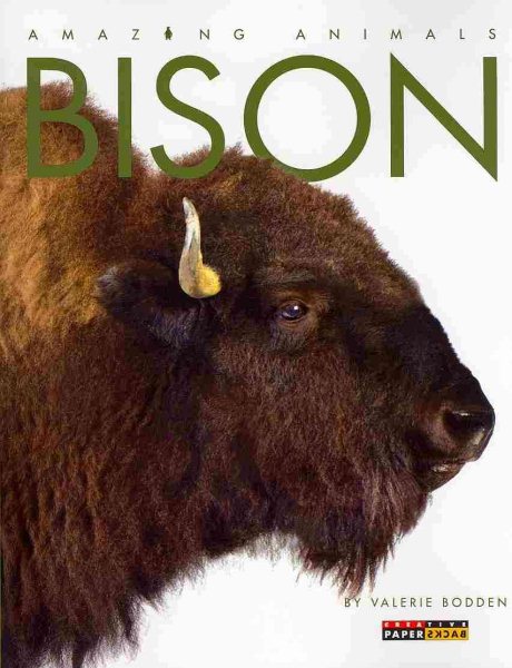 Amazing Animals: Bison cover