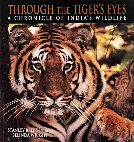 Through the Tiger's Eyes cover