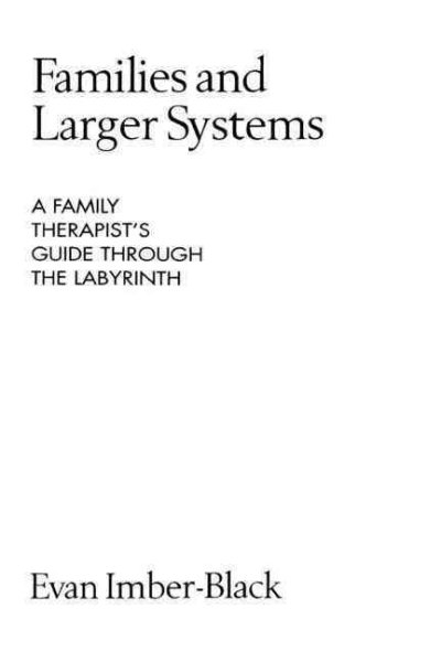 Families and Larger Systems: A Family Therapist's Guide Through the Labyrinth (The Guilford Family Therapy Series) cover