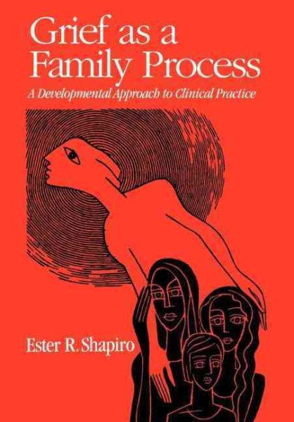 Grief as a Family Process: A Developmental Approach to Clinical Practice cover