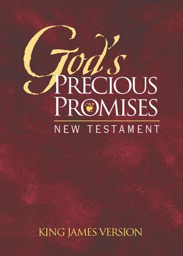 God's Precious Promises New Testament: KJV Edition in Burgundy cover