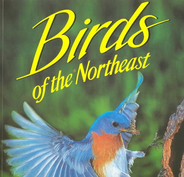 Birds of the Northeast: Washington, D.C. Through New England cover