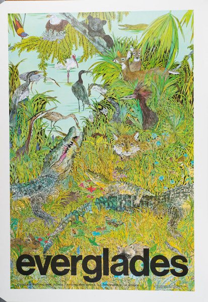 Everglades Wildguide cover
