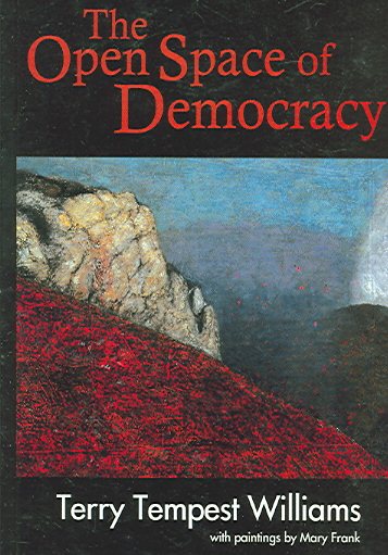 The Open Space of Democracy cover