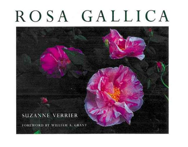 Rosa Gallica cover